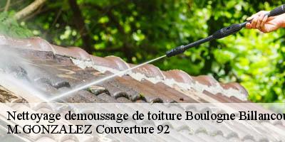 Nettoyage demoussage de toiture  boulogne-billancourt-92100 M.GONZALEZ Couverture 92