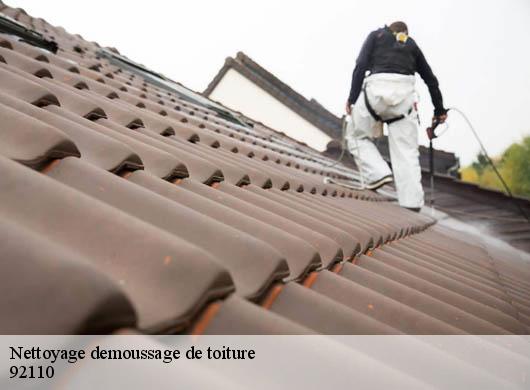 Nettoyage demoussage de toiture  92110