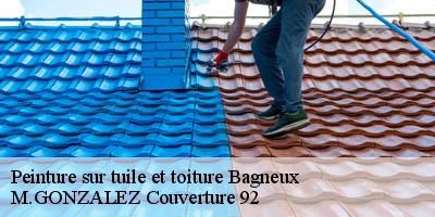 Peinture sur tuile et toiture  bagneux-92220 M.GONZALEZ Couverture 92