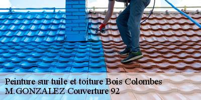 Peinture sur tuile et toiture  bois-colombes-92270 M.GONZALEZ Couverture 92