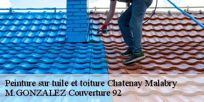 Peinture sur tuile et toiture  chatenay-malabry-92290 M.GONZALEZ Couverture 92