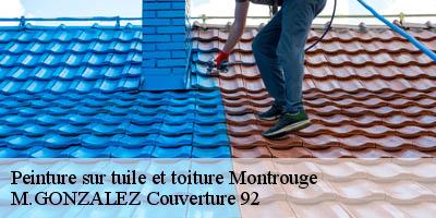 Peinture sur tuile et toiture  montrouge-92120 M.GONZALEZ Couverture 92