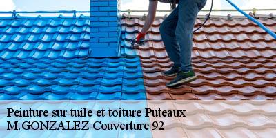 Peinture sur tuile et toiture  puteaux-92800 M.GONZALEZ Couverture 92